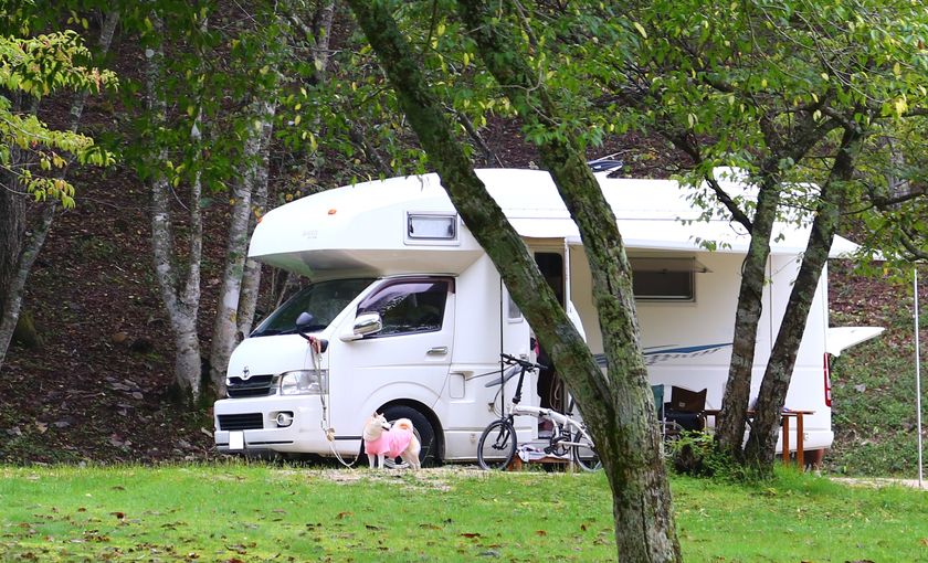 キャンピングカーユーザーのペット同伴旅行の実態調査　
大多数は犬派・6割がペットを必ず旅行に同伴することが判明
