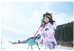 六甲山スノーパーク イメージ