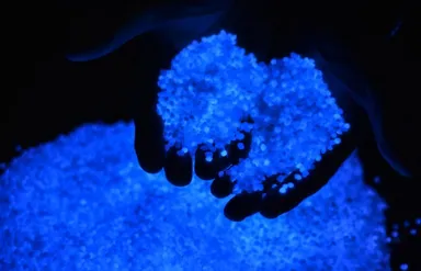 『ECO-CHIPS(エコチップ)』(2)