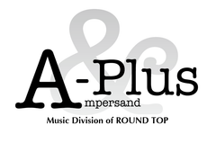 ROUND TOP LLC