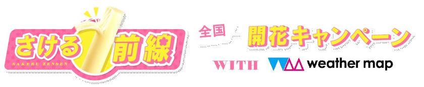【雪印メグミルク】『チーズをさいたら桜がさいた！さける前線全国開花キャンペーン
キャンペーン期間：2017年3月1日（水）～2017年4月23日（日）
