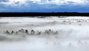 エストニアは空気が世界一綺麗