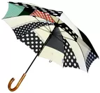 特別賞(デザイン)「＋RING　original　umbrella」