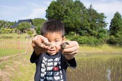 蛙と少年　イメージ