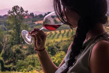 ワイナリー試飲イメージ