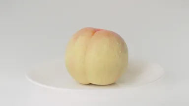 15秒CM動画より1