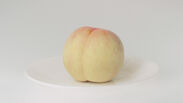 岡山の特産品といえば白桃…が、まさかの展開に！「ひのき」生産量日本一の岡山県がPR動画を公開