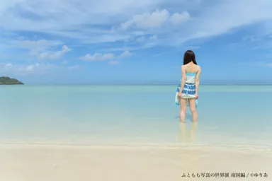 展示予定作品(4)