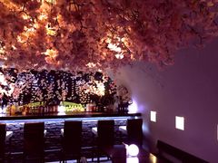 ひと足先に満開宣言！8,000輪の桜を店内にディスプレイした『吉祥寺 夜桜 ＠SUN Tama Bar』がスタート