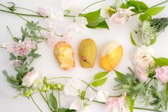 日本初のマドレーヌ専門店「MADELEINE LAPIN」が『ホワイトデー用ギフトボックス』を3月上旬販売開始！季節を彩る限定フレーバー4種も登場