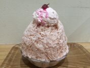 巣鴨かき氷工房 雪菓の春の限定メニュー「SAKURA」桜風味のレアチーズを販売