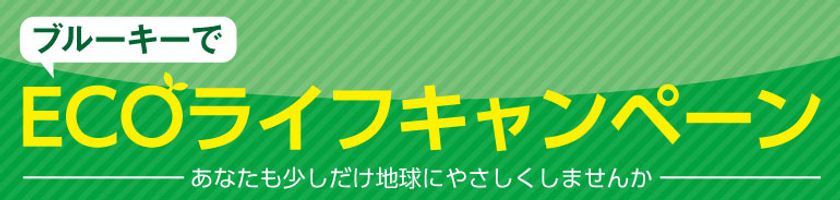 アンケートに答えるとQuoカードが当たる
「ブルーキーでEcoライフキャンペーン」を実施！
