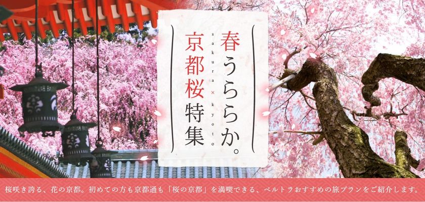 ベルトラ、京都の桜名所体験などを紹介する
特設サイト『春うららか。京都桜特集』を公開　
～1日で堪能できるモデルコースも満載～