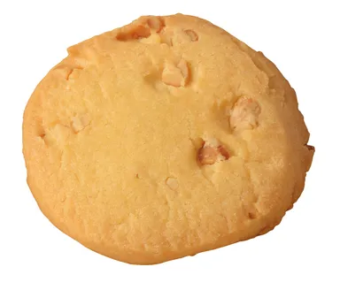 ノワーゼ 生地2