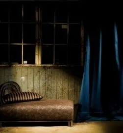 ビニューペット