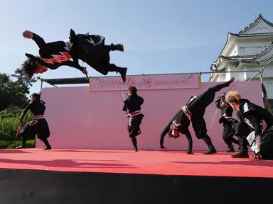 演武(パフォーマンス)