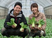 農家の嫁プロデュース！農業専門婚活Webサイトを3月に開設！「Raitai」～恋の種まき～