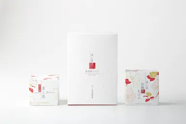 清ら肌シリーズ(左から薬用美白ジェル・炭酸石けん)