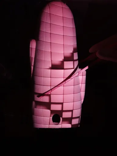 岩下の新生姜 千本桜プロジェクションマッピング(2)