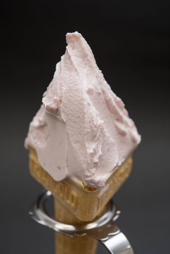 年間20万人が来場するいちご狩り農園、日本最大規模の
「いちごの里」が自社栽培のスカイベリーや
栃木のソウルドリンク「レモン牛乳」等を使用した
ジェラートのお店「ジェラートハウス　カンポ」が
3月18日(土)グランドオープン！！