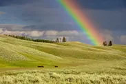 本物の虹