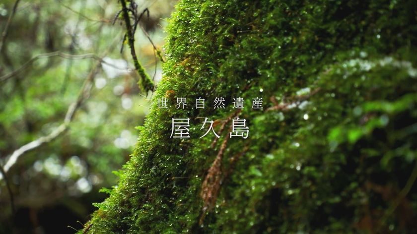 三井化学グループ世界遺産応援プロジェクト「屋久島編」
　屋久島の自然と共にCSR活動の様子を収めた動画を公開