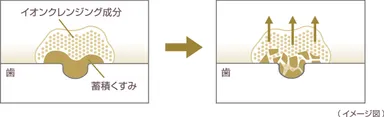 イオンクレンジング成分の働き