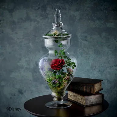 ディズニー グラスジャーアレンジメント「ジャルジャネ」 (ディズニー映画 『美女と野獣』より） 税込27,000円（本体価格25,000円）