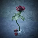 ガラス製のバラ