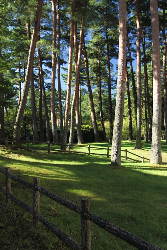 富士山の麓の豊かな自然の中で
ワインと料理と音楽のマリアージュを！
山梨ワインと肉を楽しむガーデンフェス 2017を4月30日に開催