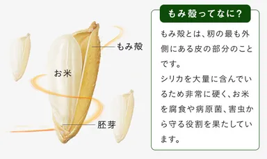 もみ殻とは(図解)