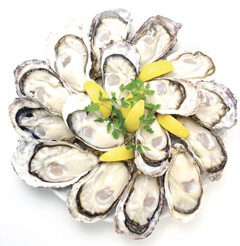 春の「真牡蠣・岩牡蠣」全品半額！安心の「ミネラルオイスター」をたっぷりお楽しみください！『生牡蠣半額祭』3/21～3/31の11日間限定開催
