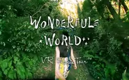 WONDERFUL WORLD - VR Private Tour(TM)