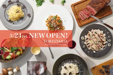 きのこが主役の“森の幸”がコンセプト。3月24日 上大岡にNEW OPEN！