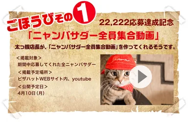 「ニャンバサダー全員集合動画」キャンペーンサイトイメージ