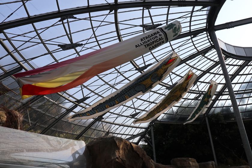 空飛ぶワニ！？東伊豆・熱川バナナワニ園で
こどもの日に向けたイベントを4月1日～5月7日まで開催！