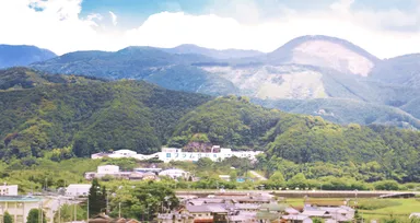 和歌山 プラム食品