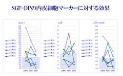 SGF-DPの内皮細胞マーカーに対する効果