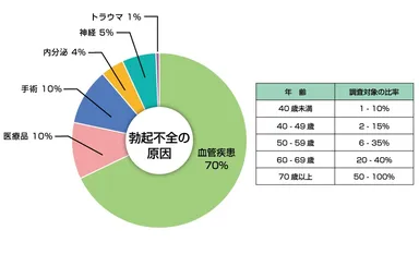 勃起不全の原因