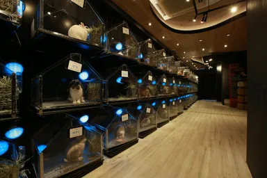 HUTCH MUSEUM 世界初の次世代型の飼育小屋