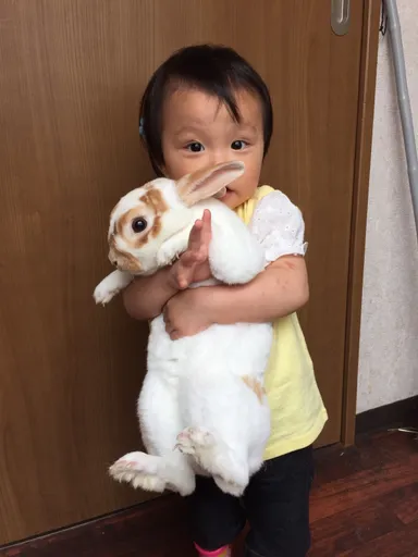 ふれあいの様子1