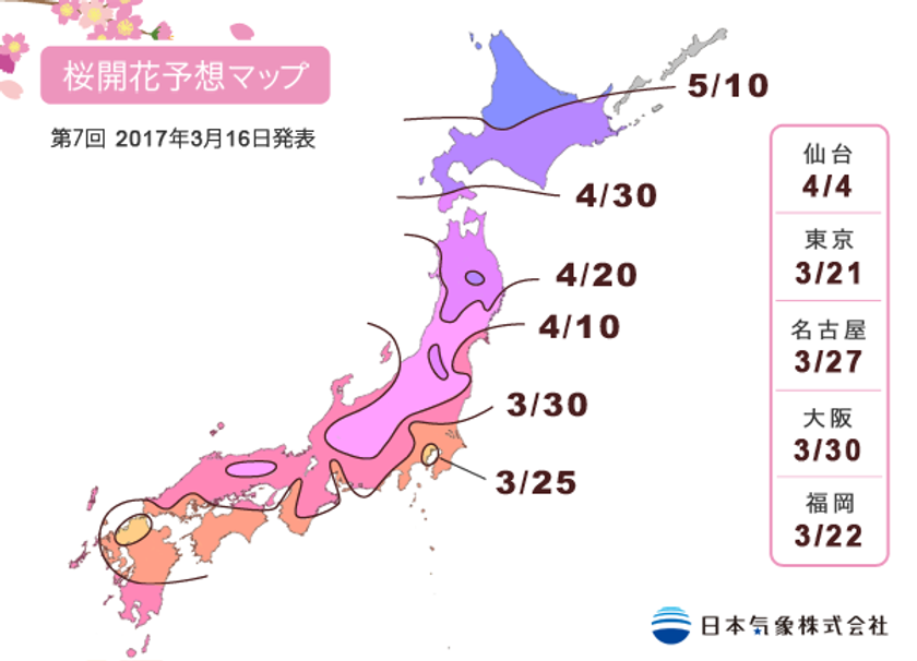 東京で3月21日に開花、桜の開花予想日的中　
早い開花の原因は晩秋の冷え込み