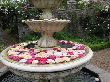 軽井沢レイクガーデン(20)