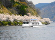 海津大崎の桜並木と高速船megumi（旅客定員200名）