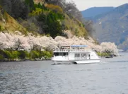海津大崎の桜並木と高速船megumi（旅客定員200名）