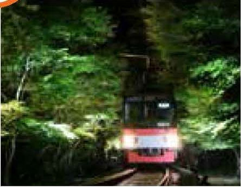 ～ＪＲ東海・京阪のコラボレーション企画～
「京都 青もみじ・御朱印めぐり」の実施について