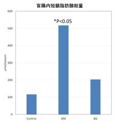 盲腸内短鎖脂肪酸総量