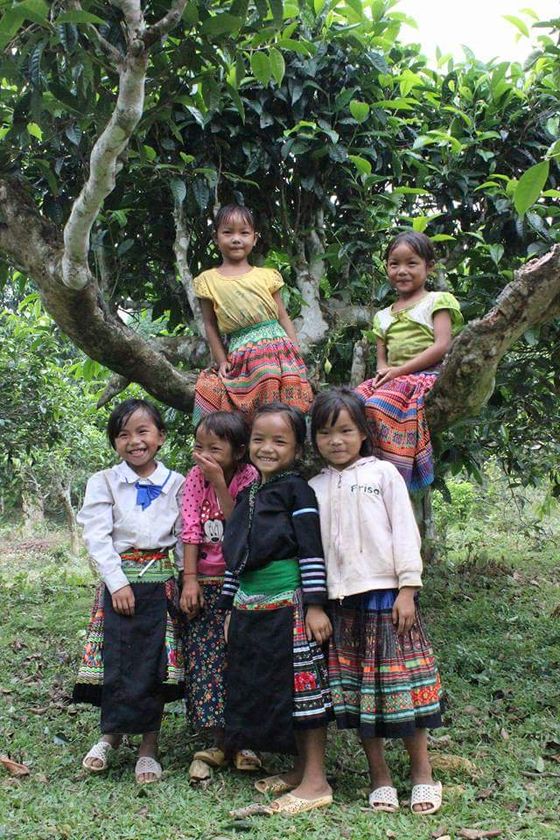 カテキン量がペットボトル茶のおよそ10倍！
天空の村の古代少数民族が作る奇跡のお茶
「シャンティ」に関する調査結果を発表