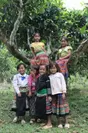 シャンティの木とTa Xuaの子供たち