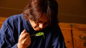 九州新茶を美味しく味わうワークショップ